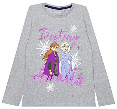 Disney Frozen 2 Elsa & Anna Destiny Awaits Girls Novelty Character Top Grey