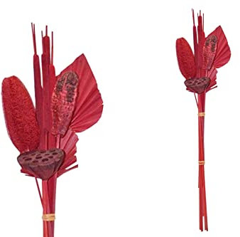 finehomegarden Exoten Sortiment 9-teilig Trockenblumen Strauß Boho Style Little Palm rot 64cm Grabaufleger Trauerfloristik Allerheiligen Herbstdeko Totensonntag