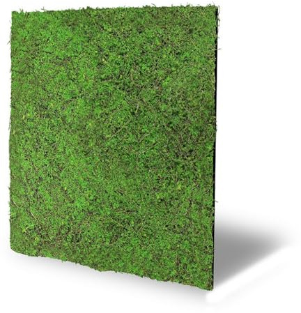 JANGAL Modular Wall Nature Design Flora Paneel (52 x 52 cm), Modulares Wandpaneel, mit recyceltem PET-Filz, zum Kleben oder Schrauben, Wandverkleidung, Wand Deko, Florawand (Forest Green Ancient Tree)