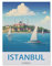 Istanbul, Türkei，Puzzles für Erwachsene 1000 Teile, Klassische Puzzle Puzzle Schwierig für Erwachsene Teenager Freizeit Spaß Spiel Spielzeug （50x70cm）-EH73
