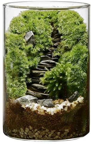 Tressify Kit de terrarium en mousse à faire soi-même, grande bouteille d'écosystème en verre pour plantes d'intérieur, lot complet de matériaux et outils, soulagement du stress 15 x 10 cm