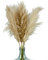 Kesign Pampasgras groß und fluffig - 5 Stück Trockenblumen 120cm - Deko Wohnzimmer modern, Vintage Deko, Schlafzimmer Deko, Pampasgras Deko Boho, Pampasgras XXL beige - DER Blickfang für die Wohnung