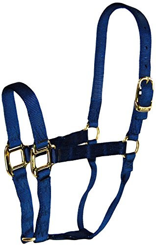 Hamilton Halfter Qlty Econo Navy