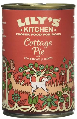 Lily's Kitchen Beef & Vegetables Food for Dogs, 400g