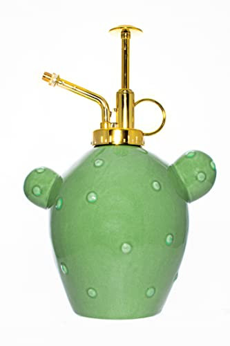 Fisura – Spray de riego con forma original. Botella de pulverización de 500 ml. Rociador de plantas de cerámica con boquilla de plástico. 20 cm x 13,5 cm. (Cactus, Verde)