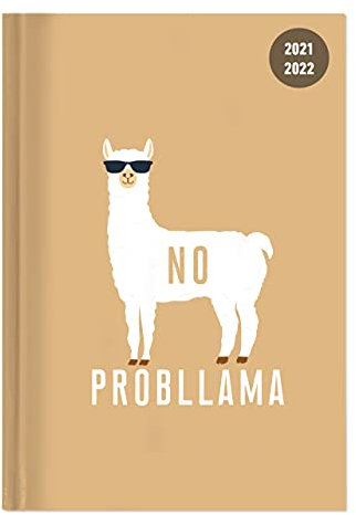 Collegetimer Llama 2021/2022 - Schüler-Kalender A5 (15x21 cm) - Lama - Weekly - 224 Seiten - Terminplaner - Alpha Edition (Collegetimer A5 Weekly)