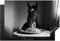 KitchenYeah© Herdabdeckplatte 77x51 cm Einteilig Küche Herdabdeckung Induktionsfeld Ceranfeld Herdabdeckplatten Vinyl Matte Aufrollbar Pferd - Teller - Nudeln - Tischtuch - Schwarz und weiß