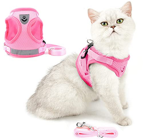 Ranphy Katzengeschirr und Leine, ausbruchsicher, reflektierend, verstellbar, kleines Hundegeschirr, kein Ziehen, kein Würgen, weiches Netzgewebe, gepolsterte Wanderjacke