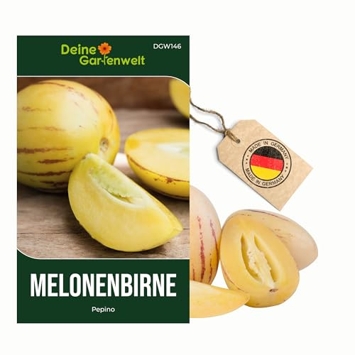Melonenbirne Birnenmelone Pepino Samen - Solanum muricatum - Melonenbirnensamen - Obstsamen - Saatgut für 6 Pflanzen – 5er Pack