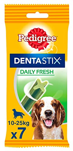 PEDIGREE Dentastix Fresh Daily Dental Chews Medium Dog 7 Sticks