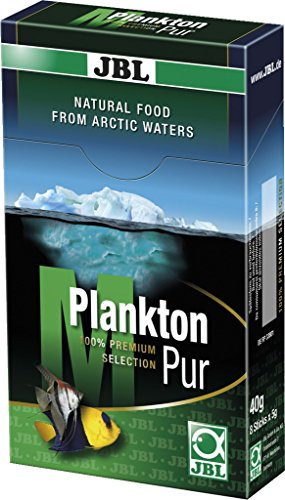 JBL PlanktonPur 30037 Leckerbissen für große Aquarienfische, 8 Sticks, 5 g