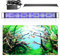 Izrielar LED Aquarium Beleuchtung, Aquariumbeleuchtung Lampe Weiß Blau Licht 25W Aquarium Lampe mit Verstellbarer Halterung für 90-110CM Süßwasser-Aquarien