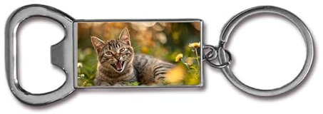 Décapsuleur chat rieur