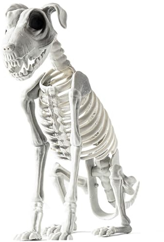 Halloween Deko Skelett Hund Sitzende | Hundeskelett Dekoration | Gruselige Skeletttiere Mit Scharfen Zähnen | Schreckliche Und Merkwürdige Halloween Deko | Halloween Tierskelett Für Friedhofsszenen