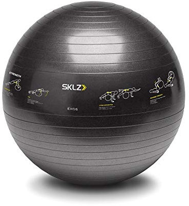 SKLZ TRAINERball Sport Performance (65cm) -Gymnastikball mit Übungen, schwarz, One Size