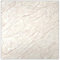 3,6m² 10 Stück SPC/Carbonat Platten Wandpaneele Deckenpaneele Wandverkleidung Fliesen Keramik Imitat Bad Küche glänzend 60x60cm (Beige) PUV2