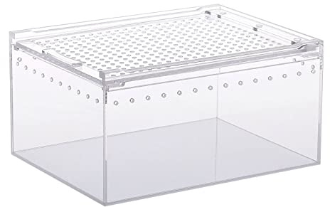 Acryl Käfig Zuchtbox Terrarium Klar Fütterungsraum für Schlange Kleinhaustiere Isopoden Eidechsen Kakerlaken Zuchtbox groß