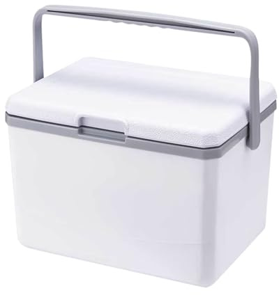 Kleine Kühlbox, robust, 5 l, kompakt, kurze Entfernung, täglicher Griff, komfortabler Griff, verstärkte Struktur, hält die Temperatur 10 bis 48 Stunden, 21,3 x 14 x 14,3 cm