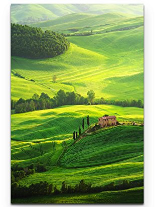 Eau Zone Wandbild auf Leinwand 90x60cm grüne Toskana