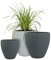Pflanzwerk® Pflanzkübel Kunststoff Cup Grau Ø56cm Blumentopf *Frostbeständige Blumenkübel* *100% ÖKOLOGISCH* *2 Jahre GARANTIE* *Premium Pflanzenkübel Qualität*
