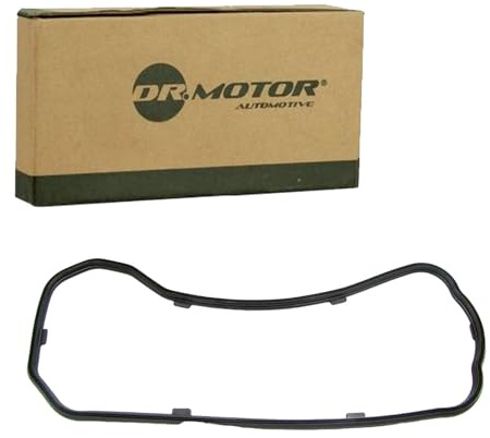 DR.MOTOR AUTOMOTIVE DRM01836 Ölwannendichtung Kompatibel mit FIAT Ducato Kastenwagen 250, 290 030459 504083813 68100571AA