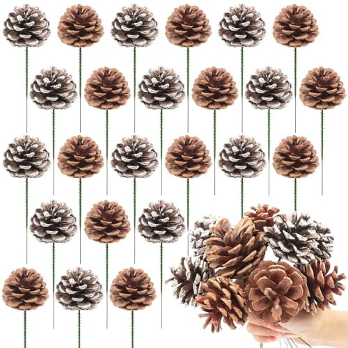 24Stück Natürliche Weihnachtskieferzapfen Schnee Kiefer Kegel für Weihnachtsbaum Girlande Kranz Ornamente Kiefernzapfen Dekoration Winterferien Home (Primärfarben, Weiß)