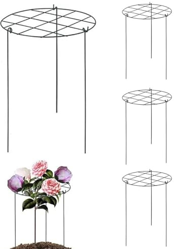 Support Stakes Blumenkästen | Vier schwere Ringe, langlebiges Material, Gartenwerkzeuge, Rosen, Tomaten, Erdbeeren, geeignet für den Innen- und Außenbereich