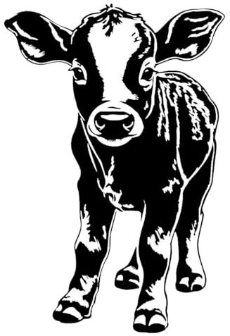 myrockshirt Süßes Kalb Kuh Kühe Rind Rinder 20 cm Baby Aufkleber Autoaufkleber Sticker Wandtattoo Profi Qualität