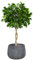 Fibre Clay Plant Pots 42cm Indoor/Outdoor Modern Rippled Finish Flower Pot Planters Patio Decking Lawn Doorstep Porch Houseplant Shrub Topiary Bush Plant Pot Clay Planters (Grey, Medium 30L)