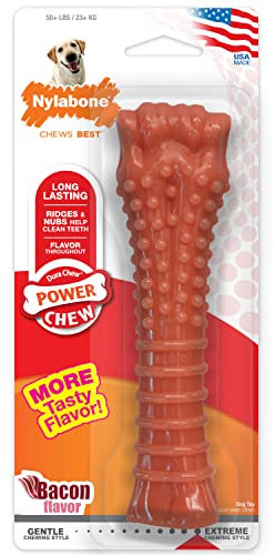 Nylabone Bacon Bone Dog Chew Souper