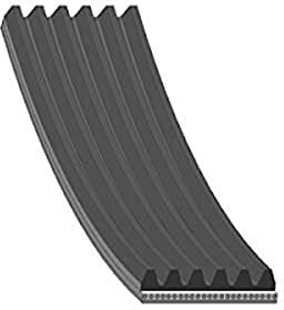 Febi-Bilstein 28983 - Cinghia Poly-V