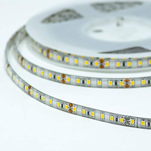 Bioledex LED Streifen 24V 15W/m 120LED/m 5000K IP65 5m Rolle tageslichtweiss
