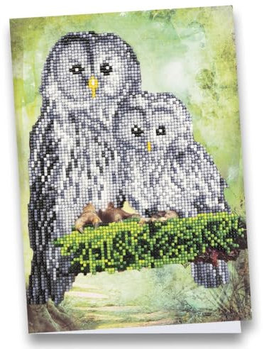 Ideen mit Herz Diamond-Painting-Grußkarte | Din A4 (21 x 29,7 cm) | 370 g/m² | inkl. Umschlag & Werkzeug (Eulenmutter & Kind)