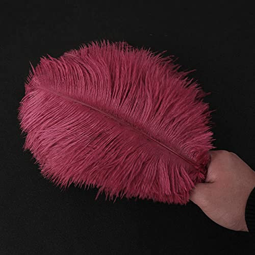 10 Stück 25-30cm Natürliche Straußenfedern,Strauß Feder zum Basteln,Bastel Federn für DIY Traumfänger Zubehör,Heimdekoration,KostüMe,Tischdeko Hochzeit Party Fest Hüte Kleidung Dekoration,Weinrot
