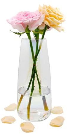 Vaso di vetro per fiori, vaso di vetro trasparente moderno Ins, vaso di vetro alto 22 CM per la decorazione della tavola, vasi decorativi per erba di pampa, tulipani, orchidee, rose (Eptacromia)