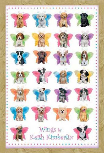 empireposter Kimberlin, Keith - Wings Dogs - Tier-Poster Hunde - Grösse 61x91,5 cm + Wechselrahmen, Shinsuke® Maxi MDF Buche, Acryl-Scheibe