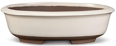 CERTRE VASI MADE IN ITALY Vasi Bonsai Ovali GRES, Modello Treviso, Colore Panna (Smaltato) | Misure esterne 33x26x8,5 cm