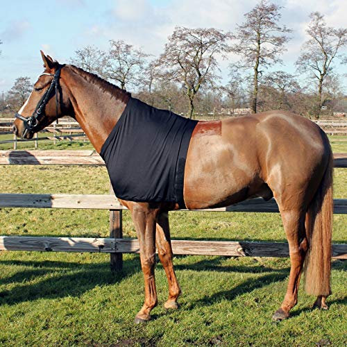 QHP Brustschutz Lycra Schulterschutz unter Decken schwarz (XL)