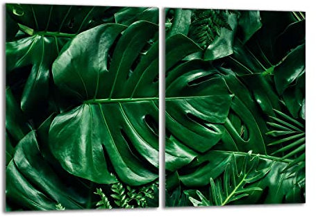 Herdabdeckplatten Set 2x40x52 cm Ceranfeld Abdeckung Glas Spritzschutz Abdeckplatte Glasplatte Herd Ceranfeldabdeckung Deko, Monstera Grün