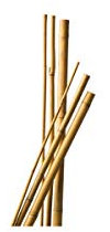 Lot de 12 Tuteurs Bambou 150 cm diam 6-8 mm