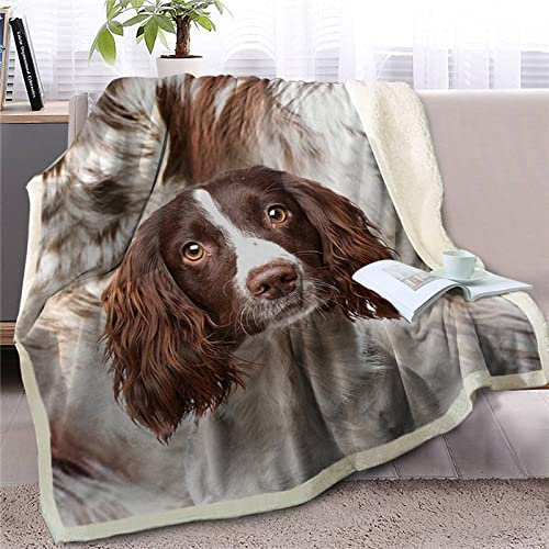 Khaki-Springer-Spaniel Flauschig Kuscheldecke 150x200cm,3D Wohndecke Warm Weiche Schmusedecke Waschbar Kinder Erwachsene - Für Wohnzimmer, Schlafzimmer, Camping, Picknick