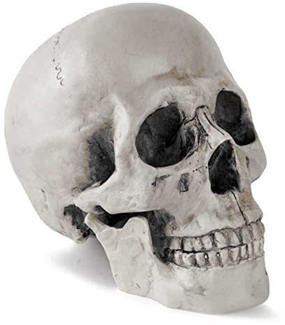 Acan Tradineur - Calavera de Halloween - Fabricado en plástico - Ideal para decoración - 19 x 13 x 17 cm - Color Blanco Roto