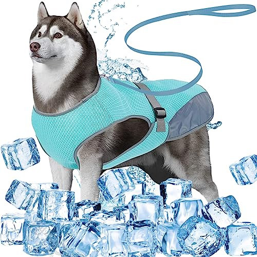 DKDDSSS Hundekühlweste, Atmungsaktiv Sommer Cooler Hundejacke, Hund Kühlweste, Cooler Komfortabler Hundemantel, für Kleine Bis Mittelgroße Hunde Aktivitäten Draußen Training (Blue, L)