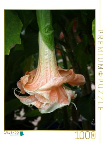 CALVENDO Puzzle Brugmansia Angels Flight | 1000 Teile Lege-Größe 48 x 64 cm Foto-Puzzle für glückliche Stunden