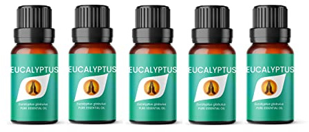 Aroma Energy | Eucalyptus Essential Oil - 50ml (5 x 10ml Bottles) - 100% Pure & Natural