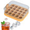 Ice Cube Tray with lid and Ice Cube Bin, Press Type Easy Release All Ice Cubes, Reusable 20 Ice Cube Mould for Freezer (Orange)