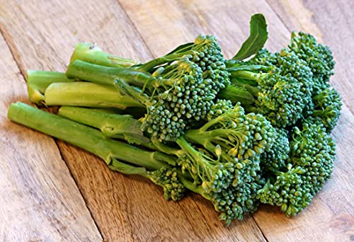 Italienischer Spargel-Brokkoli Riccia San Marzano – auch bekannt als Cima di Rapa, Broccoli Raab, Stängelkohl – Wichtige Infos – bitte lesen! – 1000 Samen