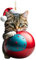 Csnbfiop Christmas Tree Cat Decoration Excellent Acrylic Hanging Ornament Bag Decor Present For Office Parties And Exchanges