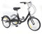 20 Zoll Zahnräder Dreirad für Erwachsene 8 Geschwindigkeit Erwachsenendreirad Shopping mit Korb 3 Rad Fahrrad für Erwachsene Adult Tricycle Comfort Fahrrad Outdoor Sports City Urban (20 Zoll, Schwarz)
