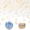 Rairsky Natürliche Ozean Muscheln Deko, 250g Natürliche Muschelornamente 2-3.5cm, Muschel Kleine, DIY Muschel-Set für Home Decorations Beach Theme Party Kerze Machen Dekor Aquarium Vase Füller